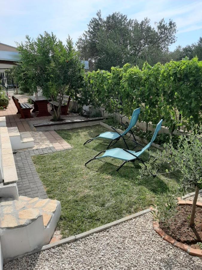 Apartment Maslina Biograd Na Moru Dış mekan fotoğraf