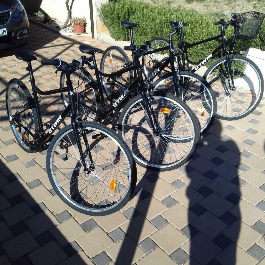 Apartment Maslina Biograd Na Moru Dış mekan fotoğraf